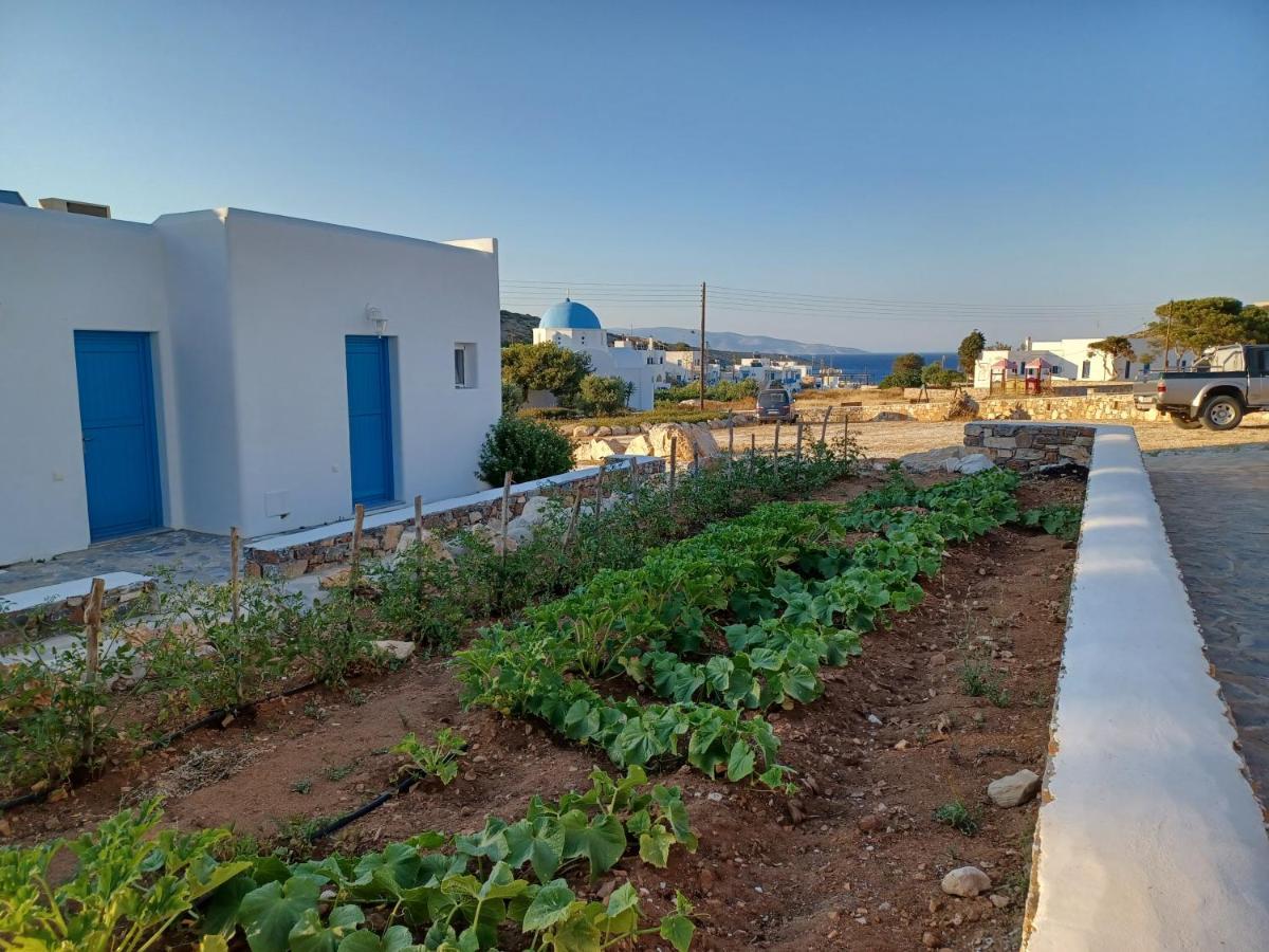 Taxiarchis Studios Agios Georgios  Esterno foto
